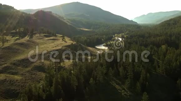 飞越森林电影镜头航拍松林的河山4K视频的预览图