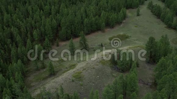 飞过森林飞过树梢草地眺望群山4K航空摄影视频的预览图