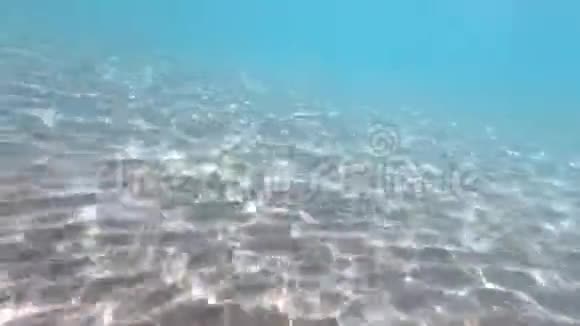 清澈的水质地在蓝色海岸波浪线和干净的沙子海洋的背景和被太阳背光的海洋天然细菌视频的预览图
