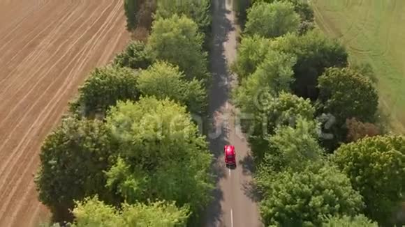 俯视图空中红色汽车沿着树木之间的道路行驶视频的预览图