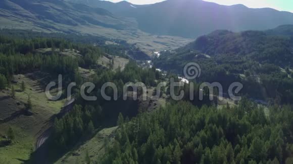森林景观阳光洒过江面航拍松林河山4K阿尔泰视频的预览图