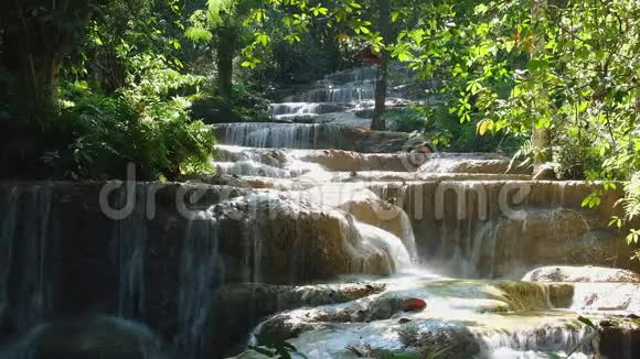 无标题项目无缝4K视频美丽的瀑布在自然水从河中流动视频的预览图