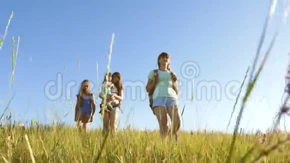 快乐的妈妈和女儿们一个小宝宝在夏天背着彩色的背包穿越田野家庭生活视频的预览图