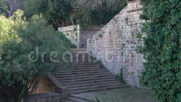 公园里的古石楼梯大石头墙上的绿色泥鳅视频的预览图