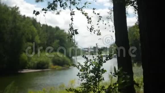 在河流景观的背景下树叶在风中摇摆视频的预览图