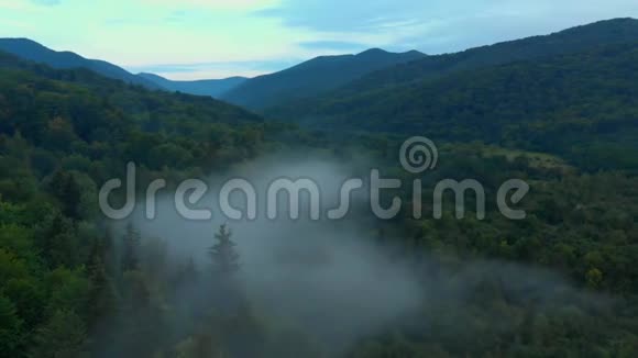 景色优美山顶有雾视频的预览图