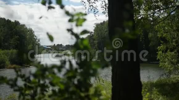夏天的河流景观和树叶的重点翻译视频的预览图