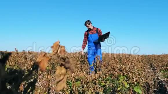 田野里有烧焦的植物和一个雄性耕耘者走过它视频的预览图