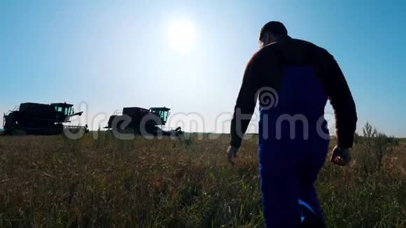 男农学家正沿着田野走着摸着小麦视频的预览图