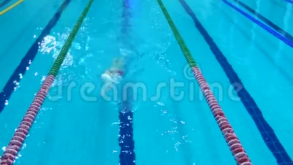 专业游泳运动员在水上游泳池练习顶部视图视频的预览图