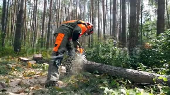 砍伐森林森林砍伐理念被砍的树被砍成碎片视频的预览图