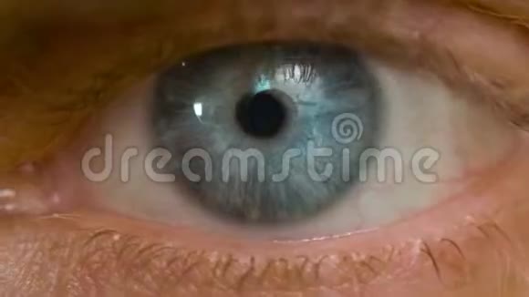 白种人男性蓝眼睛眨眼睛的宏观镜头视频的预览图