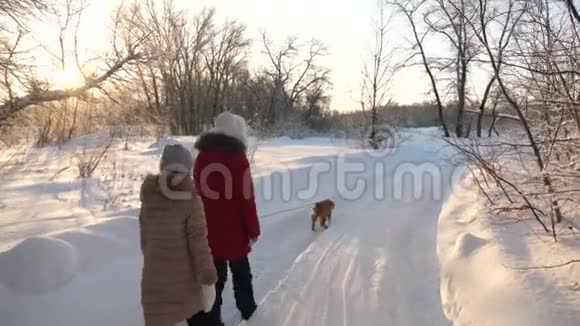 孩子们在冬天的雪地里和狗在树林里玩圣诞假期幸福的家庭在散步他们的宠物青少年儿童视频的预览图