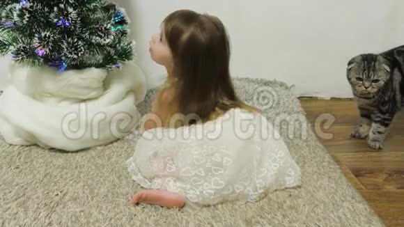 一个小女孩和一只猫正在圣诞树旁的房间里玩耍快乐的童年概念儿童和圣诞树视频的预览图