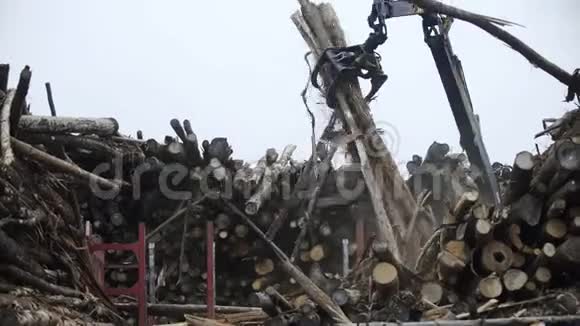 机械夹持器将木材装载到卡车上进行运输森林砍伐概念储存中的木材视频的预览图
