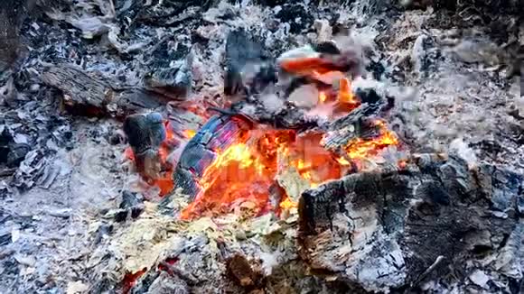 燃烧着红色的煤吹着风拍摄了特写镜头视频的预览图