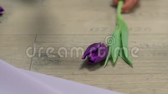 收集一束紫色郁金香视频的预览图