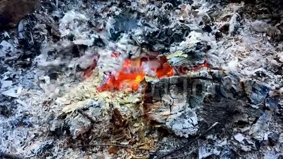 燃烧着红色的煤吹着风拍摄了特写镜头视频的预览图