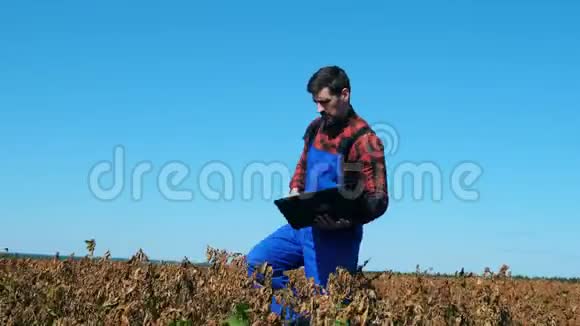 带笔记本电脑的农业工人正走过枯萎的植物视频的预览图