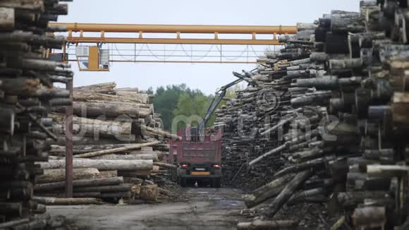 木材储存在锯木厂加工木材也称为木材厂或木材场显示视频的预览图
