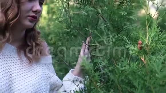 年轻女子享受大自然触摸Thuja灌木丛视频的预览图