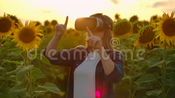 女农民经理正在向日葵田用VR眼镜工作视频的预览图