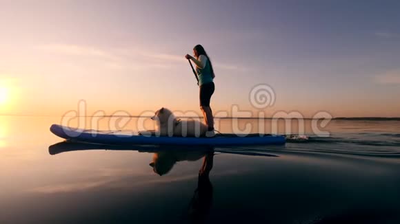 日落时分一个年轻的女人和她的狗在做SUP视频的预览图