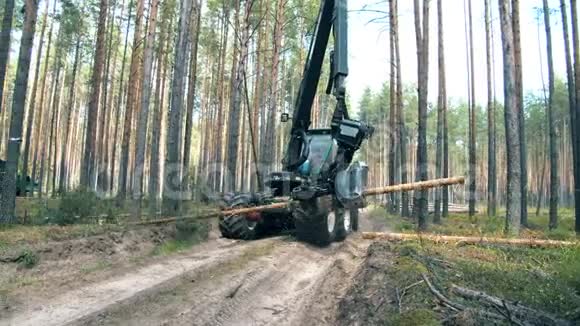 机械收割机正在砍树砍伐森林森林砍伐理念视频的预览图