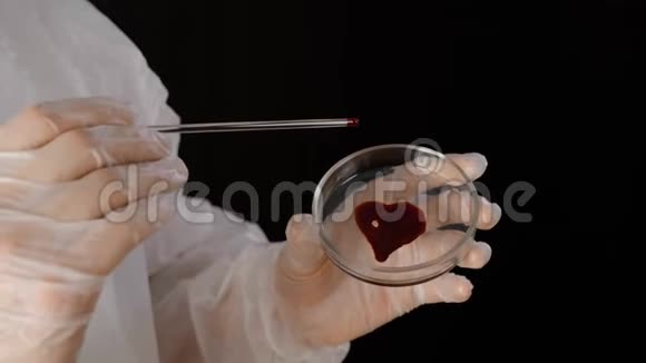 化学实验室生物工程师手中的医用玻璃上有声音形状的血迹做血检的医务工作者视频的预览图