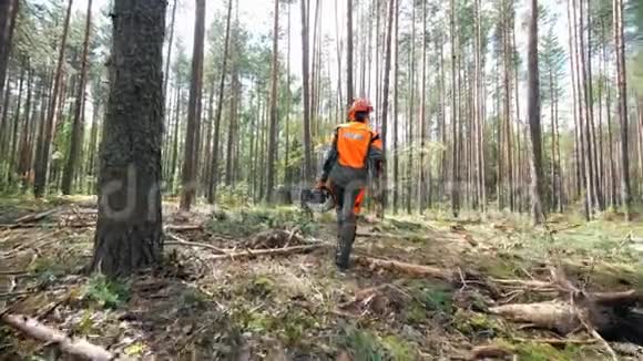森林采伐现场一名男性工人在那里行走视频的预览图
