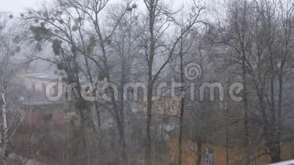 一层楼的房子一个悲伤的灰色冬日大雪大风暴风雪树在风中沉重地摇摆湿湿视频的预览图