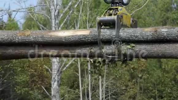 在阳光明媚的夏天原木抓斗者从卡车上拿木头的慢动作为工业目的砍伐森林视频的预览图