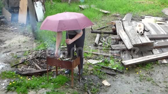 雨下烧烤时带着雨伞的女人轻火无家可归的猫对她放松视频的预览图