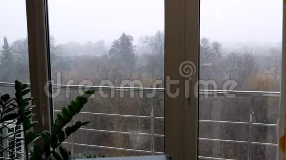 从城市的窗口看公园冬天开始大风第一场雪暴风雪下雨的湿雪视频的预览图
