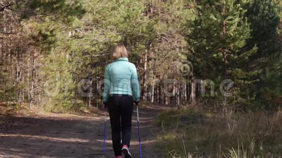 女人练习北欧在秋天的森林里行走她在沙地路上远离相机后景视频的预览图