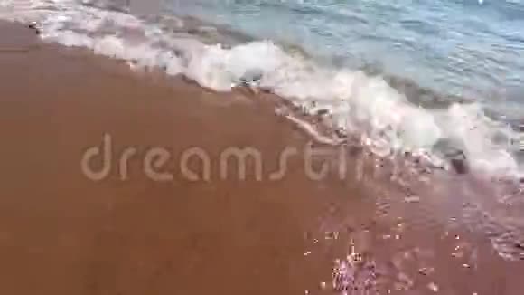 干净的水具有沙质海底的水下背景天然纹理视频的预览图