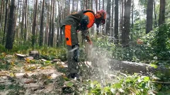 砍伐森林森林砍伐理念木头被工人锯掉了刨花四处乱飞视频的预览图