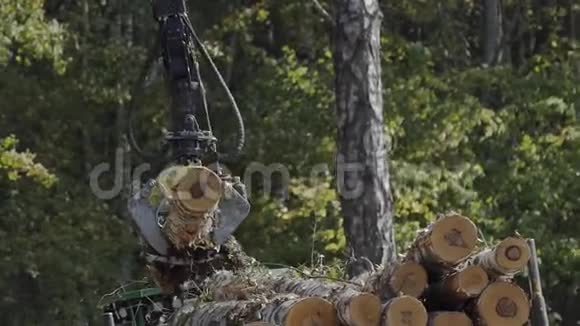 原木抓斗者把原木从地上抬起来为工业生产砍伐森林机械夹持器装载视频的预览图