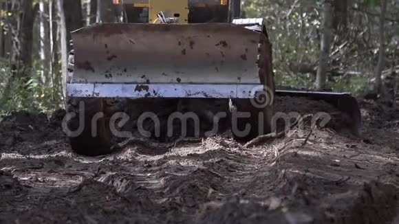 工作时坏林路道路平整机动平地机挖土机在林区修一条新路视频的预览图