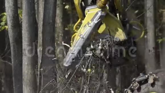 森林收割机的慢动作倒下锯树倒下的树伐木机砍伐树木砍伐视频的预览图