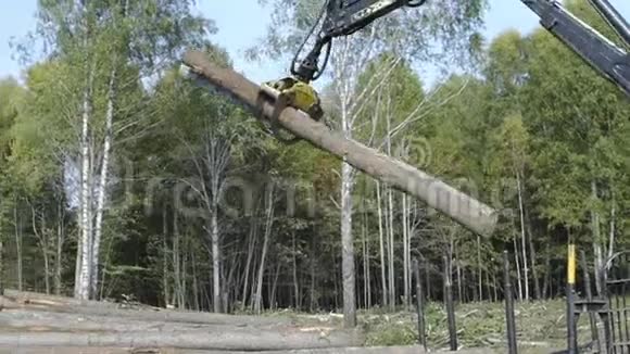 夏季时原木被伐木工人的夹子夹住森林砍伐概念视频的预览图