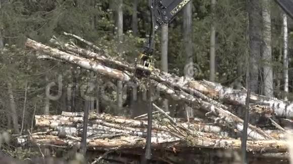 原木散落在森林上的地面上上面有伐木者卡车的原木散落在地面上的原木视频的预览图