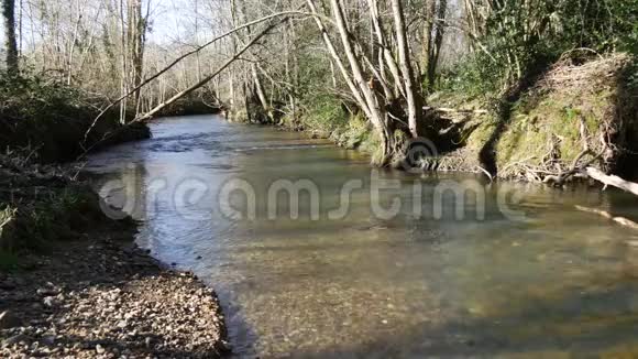 平静的河流蜿蜒在树林间冬天视频的预览图