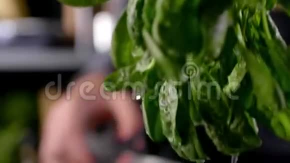 男人在厨房里用新鲜的菠菜做菜慢慢地用水滴做叶子视频的预览图