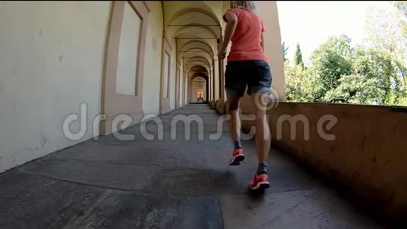 圣卢卡门廊在跑视频的预览图