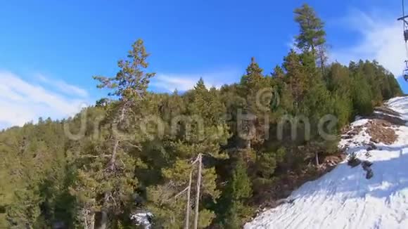 滑雪场的松林滑雪台的录像视频的预览图