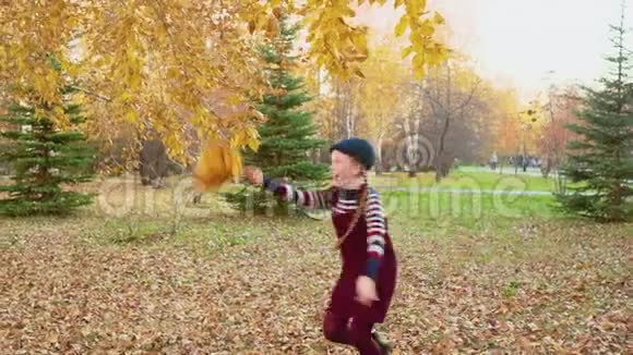无忧无虑的女孩在秋天公园扔黄色的枫树花束一个微笑的女孩在秋天从落叶中捕捉花束视频的预览图