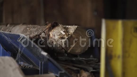 传送带上的木梁木工厂的木材加工在视频的预览图