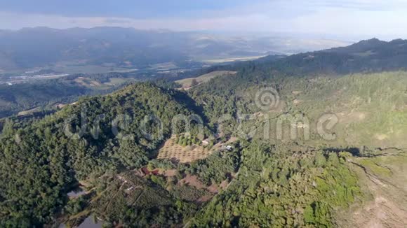 夏季纳帕谷有树木的葱茏丘陵的空中景色视频的预览图