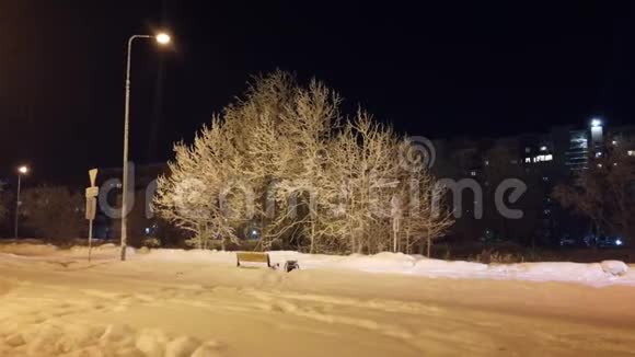 夜晚冬天一棵孤独的树和一辆路过的车视频的预览图